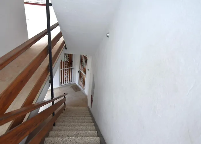 Rnet - Rivabella * Rosas